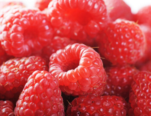 Ernährung im Sommer 1